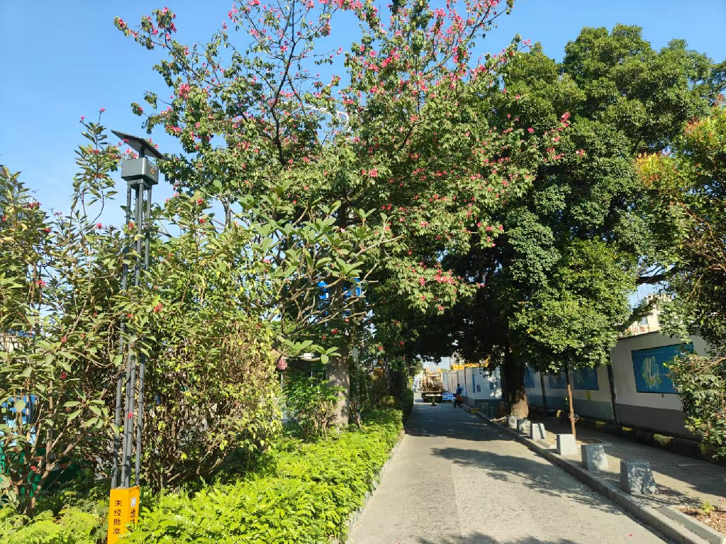 深圳地铁保护区应用（一）